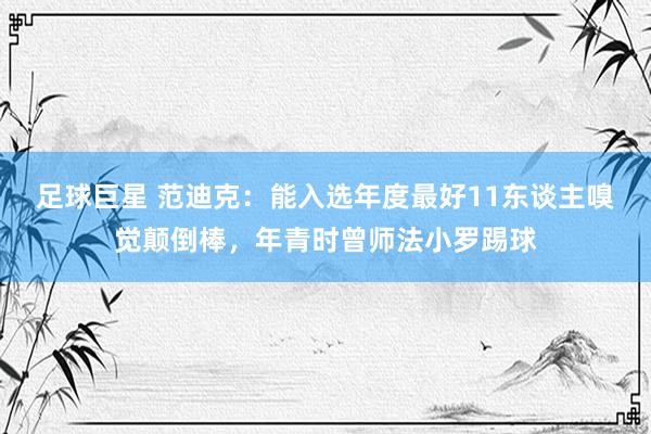 足球巨星 范迪克：能入选年度最好11东谈主嗅觉颠倒棒，年青时曾师法小罗踢球