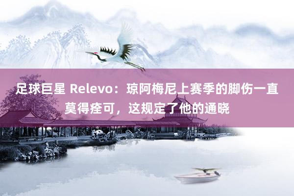 足球巨星 Relevo：琼阿梅尼上赛季的脚伤一直莫得痊可，这规定了他的通晓