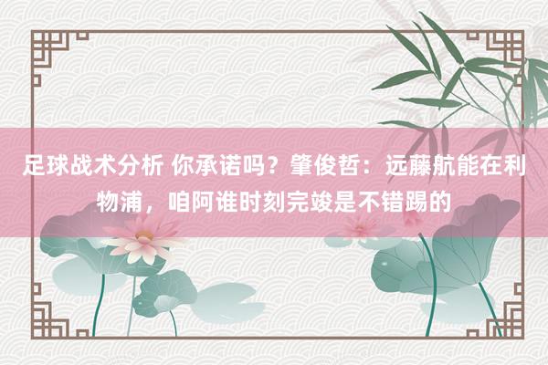 足球战术分析 你承诺吗？肇俊哲：远藤航能在利物浦，咱阿谁时刻完竣是不错踢的