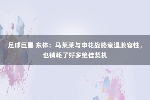 足球巨星 东体：马莱莱与申花战略衰退兼容性，也销耗了好多绝佳契机