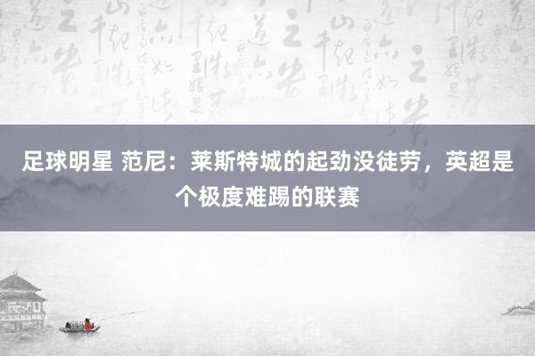 足球明星 范尼：莱斯特城的起劲没徒劳，英超是个极度难踢的联赛